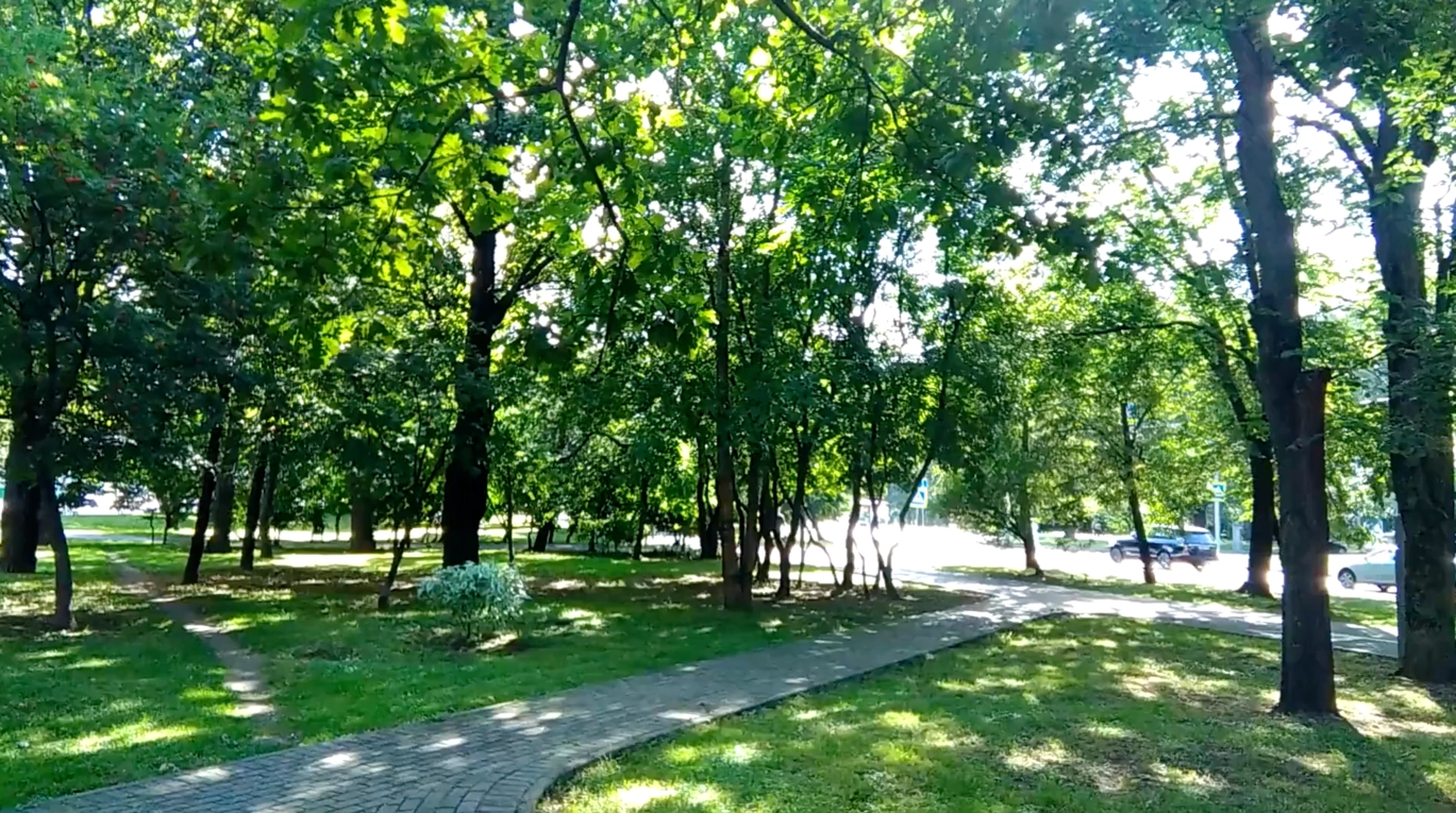 Vidéo interne